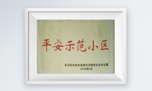 平安示范小区
